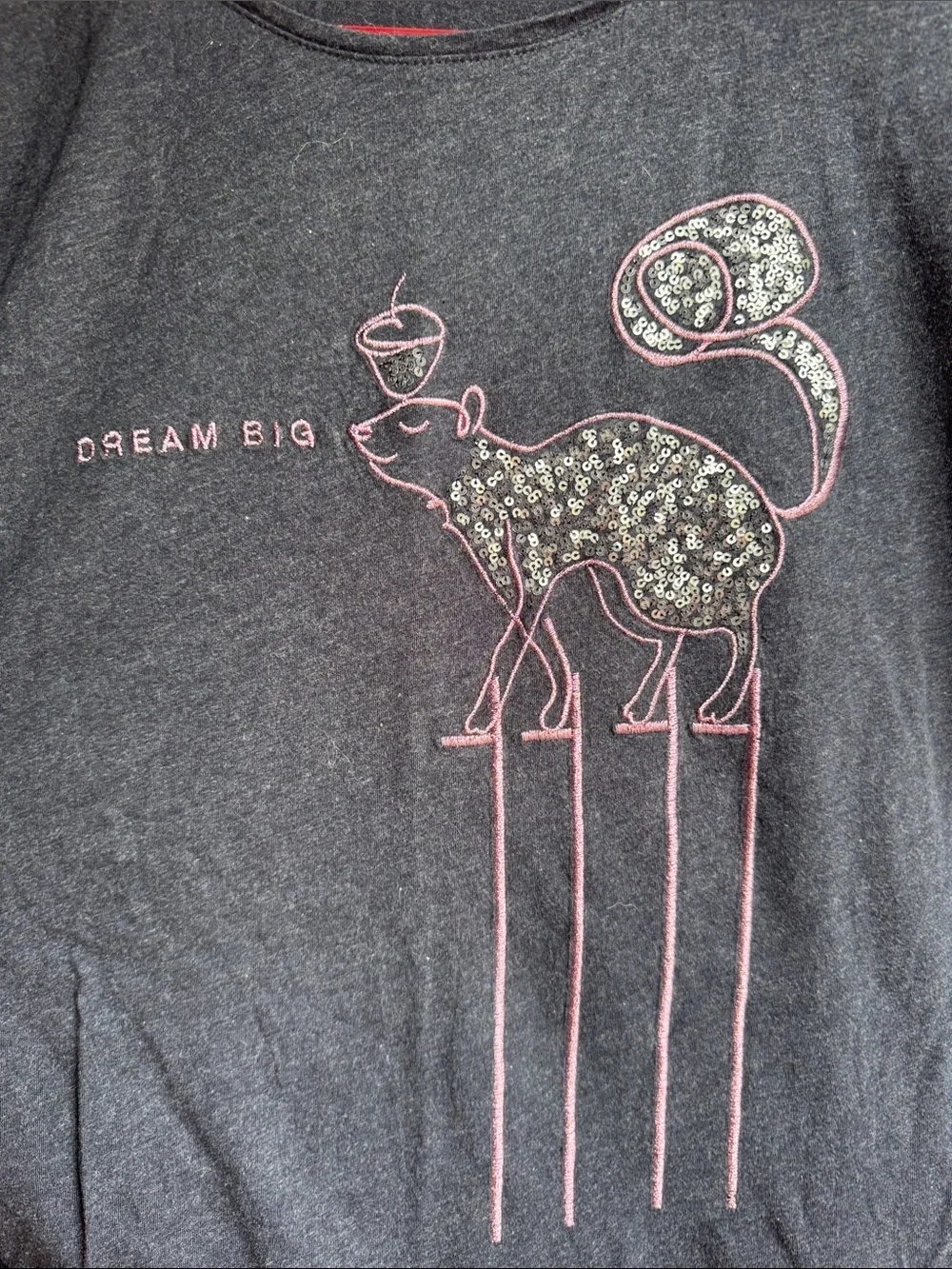 Girls XXL Squirrel Dream Bug Long Sleeve Shirt